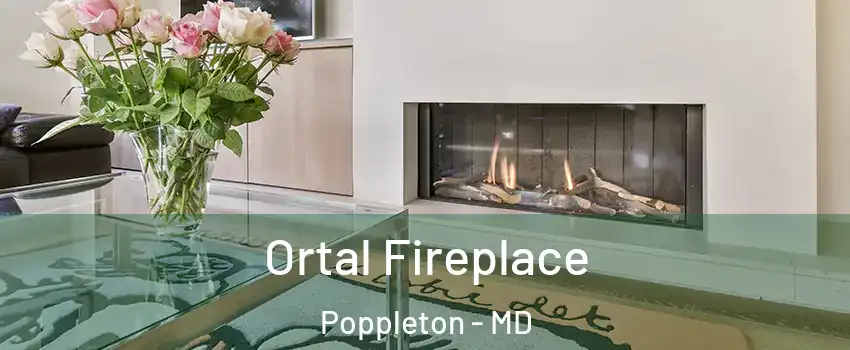 Ortal Fireplace Poppleton - MD