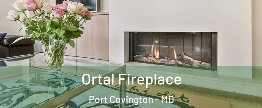 Ortal Fireplace Port Covington - MD