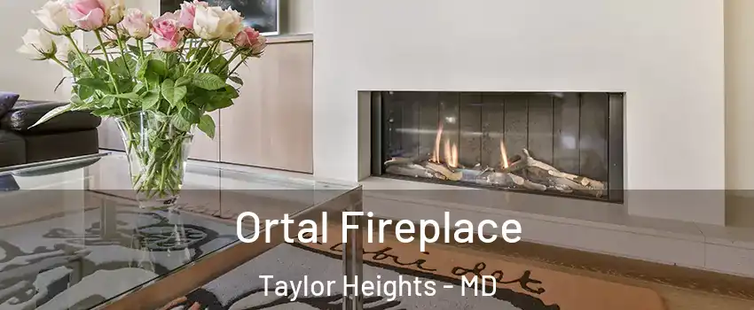 Ortal Fireplace Taylor Heights - MD