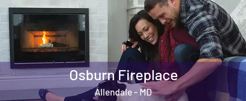 Osburn Fireplace Allendale - MD