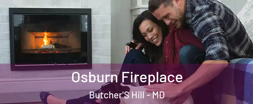 Osburn Fireplace Butcher'S Hill - MD