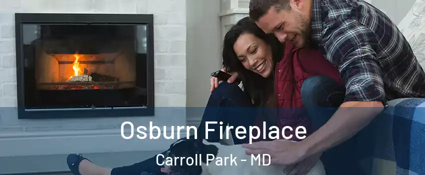 Osburn Fireplace Carroll Park - MD