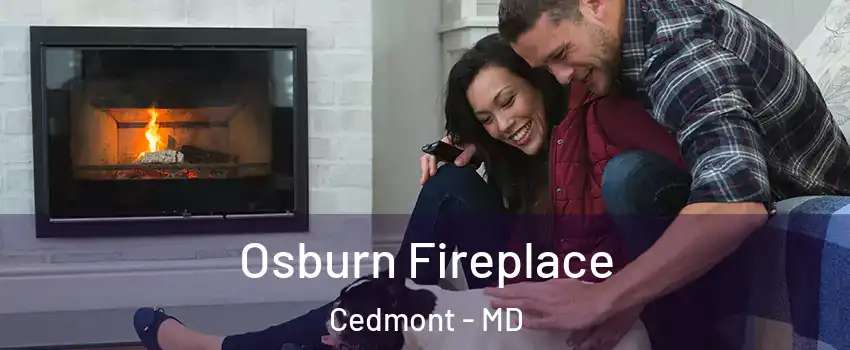 Osburn Fireplace Cedmont - MD