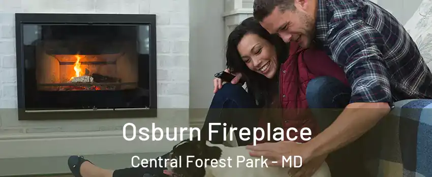 Osburn Fireplace Central Forest Park - MD