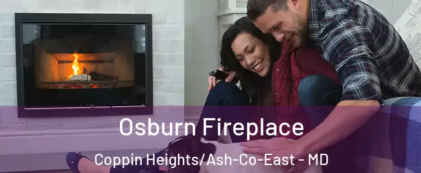 Osburn Fireplace Coppin Heights/Ash-Co-East - MD