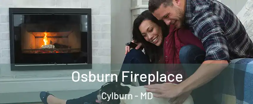Osburn Fireplace Cylburn - MD