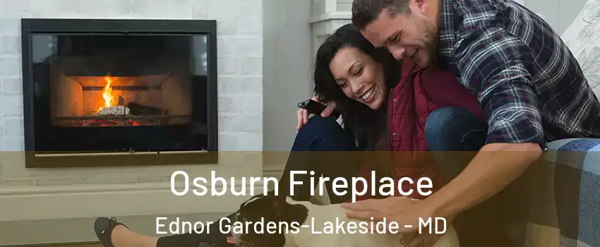 Osburn Fireplace Ednor Gardens-Lakeside - MD