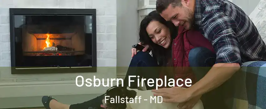 Osburn Fireplace Fallstaff - MD