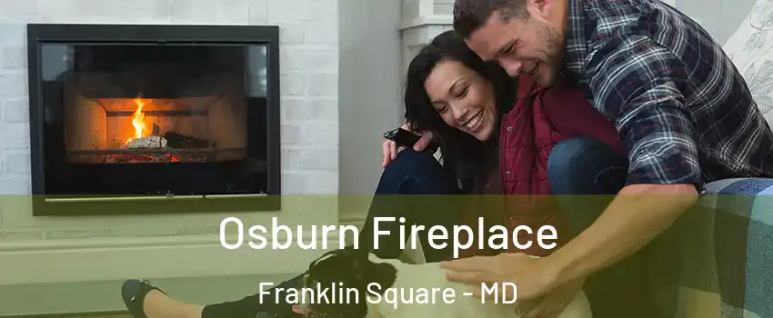 Osburn Fireplace Franklin Square - MD