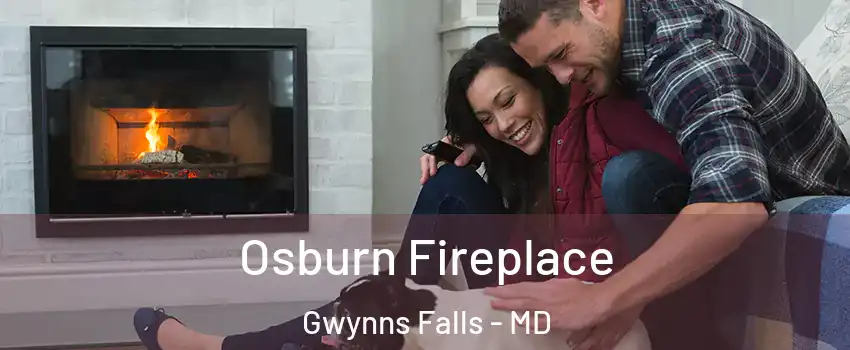 Osburn Fireplace Gwynns Falls - MD