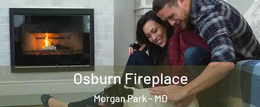 Osburn Fireplace Morgan Park - MD
