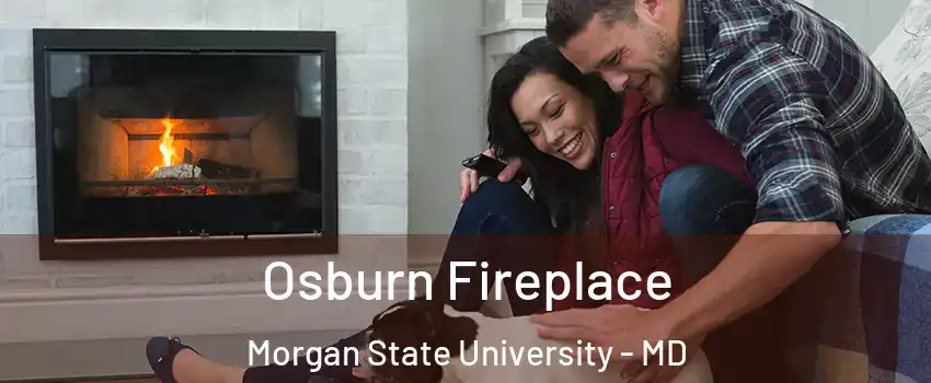 Osburn Fireplace Morgan State University - MD