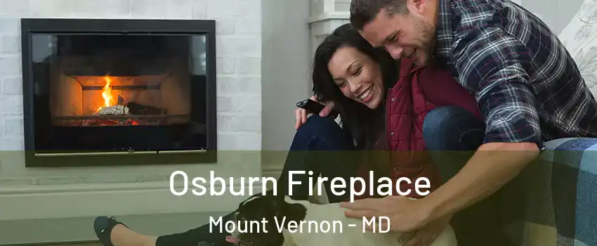 Osburn Fireplace Mount Vernon - MD