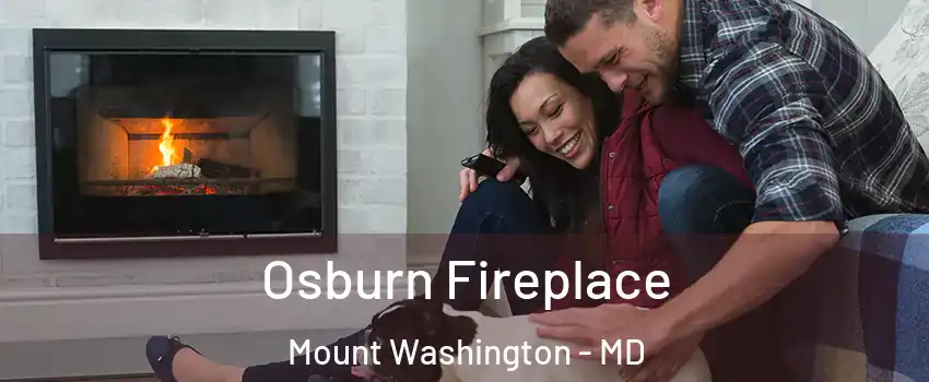 Osburn Fireplace Mount Washington - MD