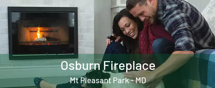 Osburn Fireplace Mt Pleasant Park - MD