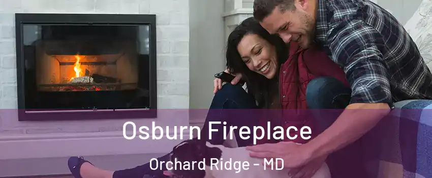 Osburn Fireplace Orchard Ridge - MD