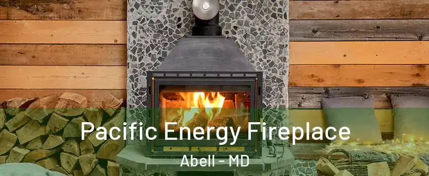 Pacific Energy Fireplace Abell - MD