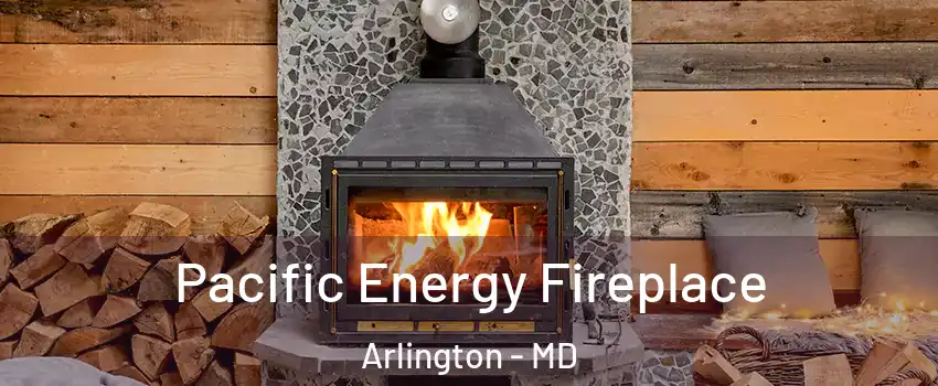 Pacific Energy Fireplace Arlington - MD