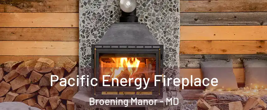 Pacific Energy Fireplace Broening Manor - MD