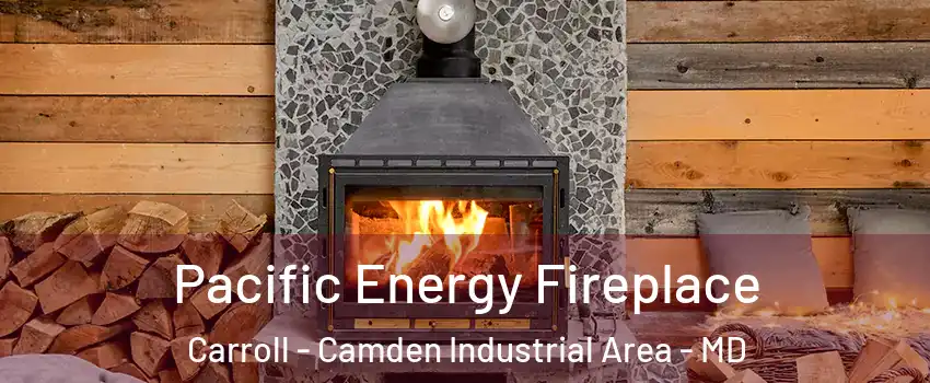 Pacific Energy Fireplace Carroll - Camden Industrial Area - MD