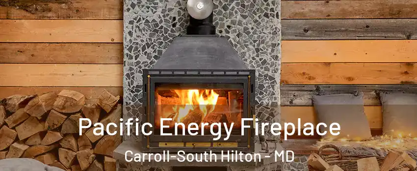 Pacific Energy Fireplace Carroll-South Hilton - MD