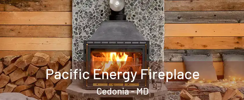 Pacific Energy Fireplace Cedonia - MD