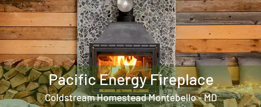 Pacific Energy Fireplace Coldstream Homestead Montebello - MD