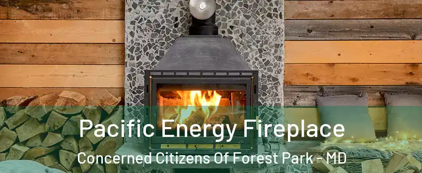Pacific Energy Fireplace Concerned Citizens Of Forest Park - MD