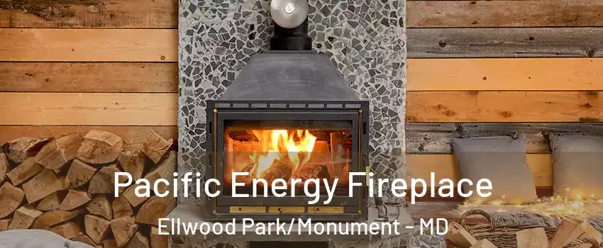 Pacific Energy Fireplace Ellwood Park/Monument - MD