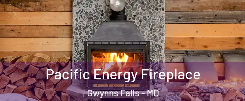 Pacific Energy Fireplace Gwynns Falls - MD