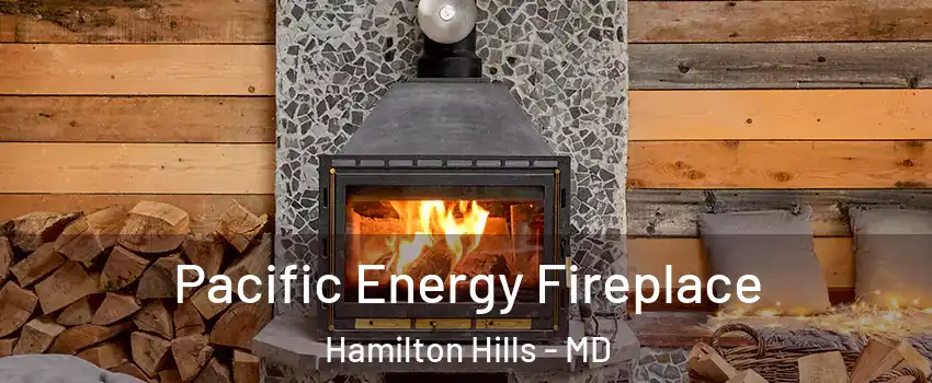 Pacific Energy Fireplace Hamilton Hills - MD