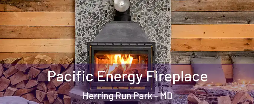 Pacific Energy Fireplace Herring Run Park - MD