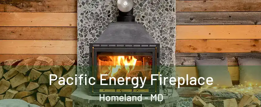 Pacific Energy Fireplace Homeland - MD