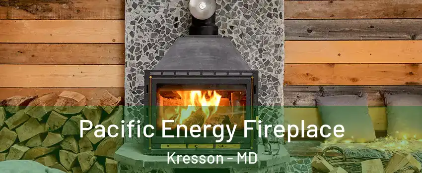 Pacific Energy Fireplace Kresson - MD