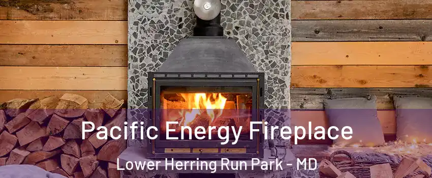 Pacific Energy Fireplace Lower Herring Run Park - MD