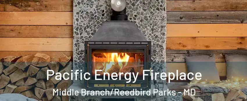 Pacific Energy Fireplace Middle Branch/Reedbird Parks - MD