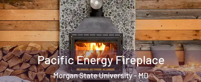 Pacific Energy Fireplace Morgan State University - MD
