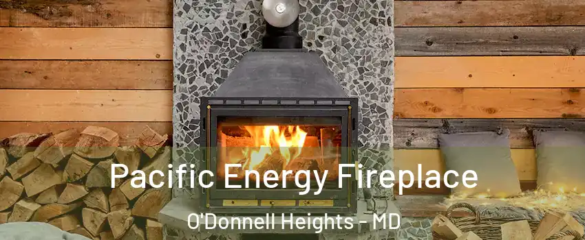 Pacific Energy Fireplace O'Donnell Heights - MD