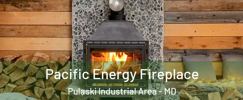 Pacific Energy Fireplace Pulaski Industrial Area - MD
