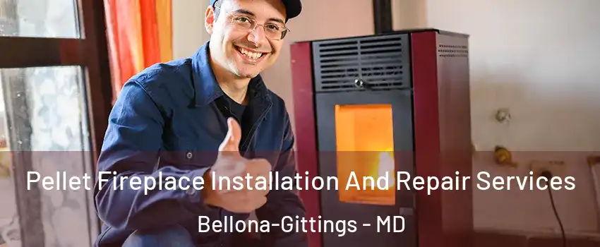 Pellet Fireplace Installation And Repair Services Bellona-Gittings - MD