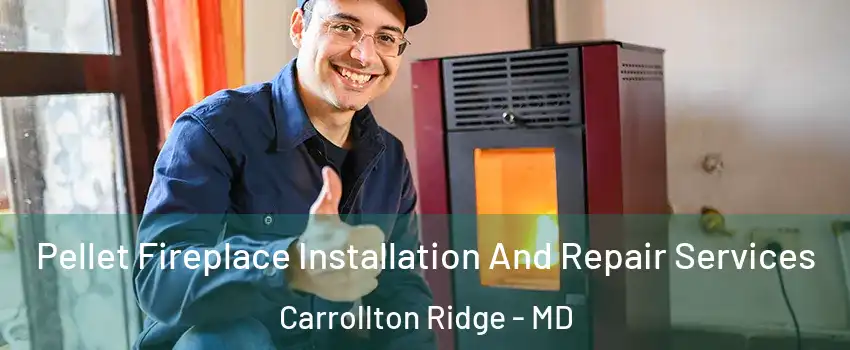 Pellet Fireplace Installation And Repair Services Carrollton Ridge - MD