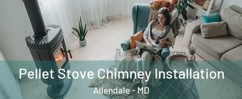 Pellet Stove Chimney Installation Allendale - MD
