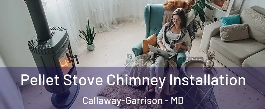 Pellet Stove Chimney Installation Callaway-Garrison - MD