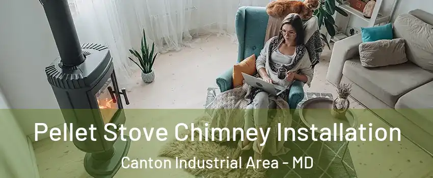 Pellet Stove Chimney Installation Canton Industrial Area - MD