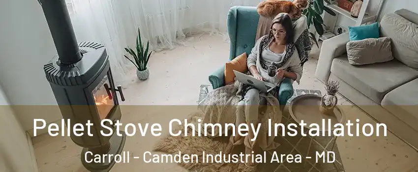 Pellet Stove Chimney Installation Carroll - Camden Industrial Area - MD