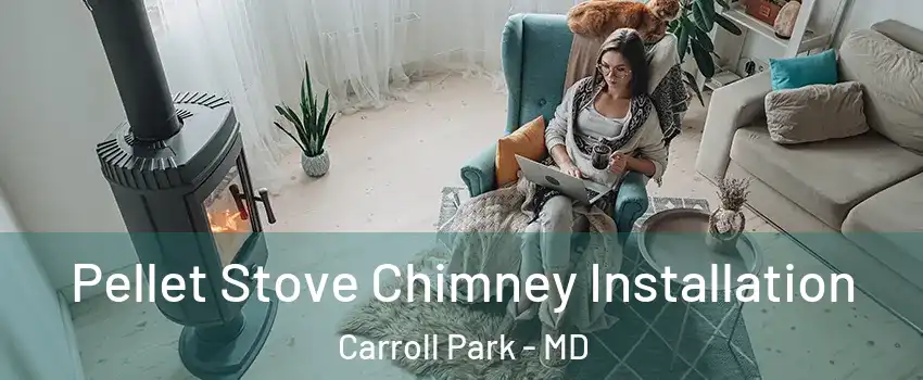 Pellet Stove Chimney Installation Carroll Park - MD