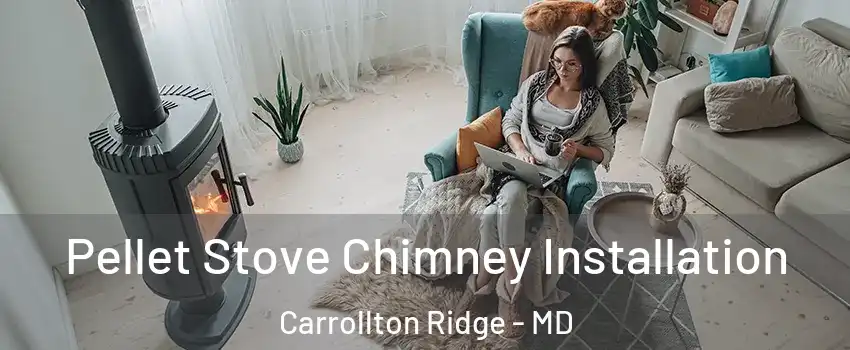 Pellet Stove Chimney Installation Carrollton Ridge - MD