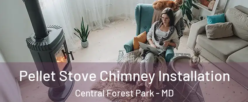 Pellet Stove Chimney Installation Central Forest Park - MD