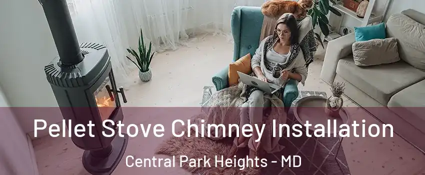 Pellet Stove Chimney Installation Central Park Heights - MD