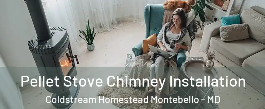 Pellet Stove Chimney Installation Coldstream Homestead Montebello - MD